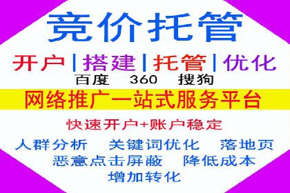 行业标杆的SEM竞价营销案例研究